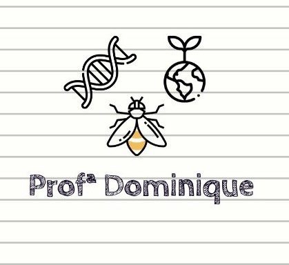 Profª Dominique